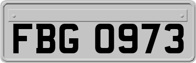 FBG0973