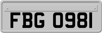 FBG0981