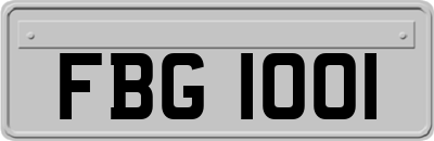 FBG1001