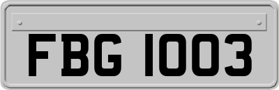 FBG1003