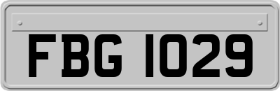 FBG1029