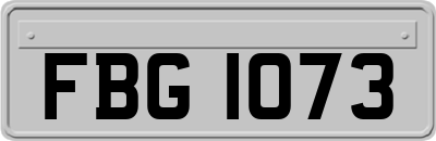 FBG1073
