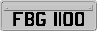 FBG1100