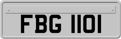 FBG1101
