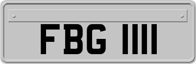 FBG1111