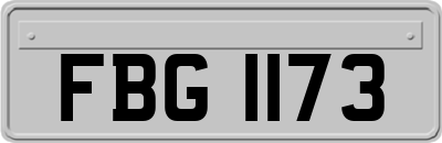 FBG1173