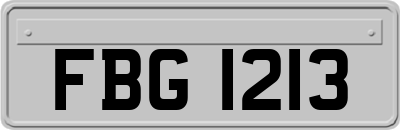 FBG1213
