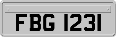 FBG1231