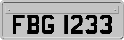FBG1233