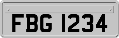 FBG1234