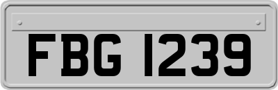 FBG1239