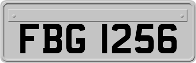 FBG1256