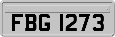 FBG1273