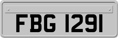 FBG1291