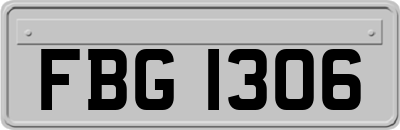 FBG1306