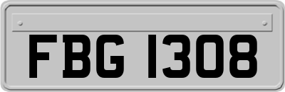 FBG1308
