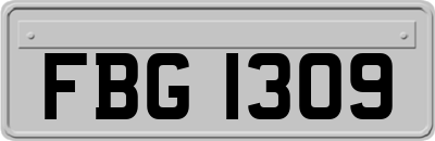 FBG1309