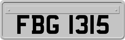 FBG1315