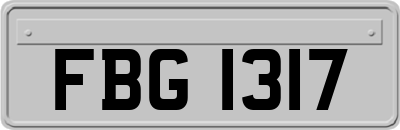 FBG1317