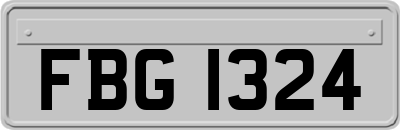 FBG1324