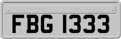 FBG1333