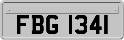 FBG1341