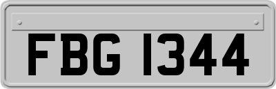 FBG1344