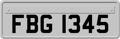 FBG1345