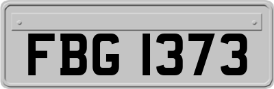 FBG1373