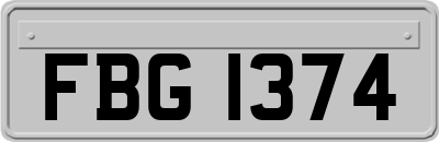 FBG1374