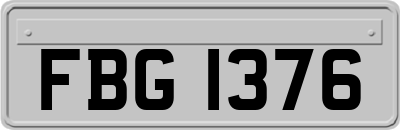 FBG1376