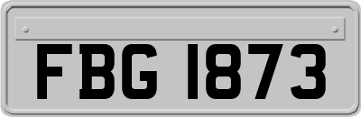 FBG1873