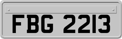 FBG2213