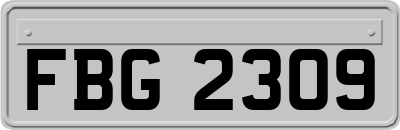 FBG2309