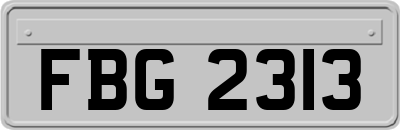 FBG2313