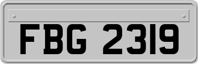 FBG2319