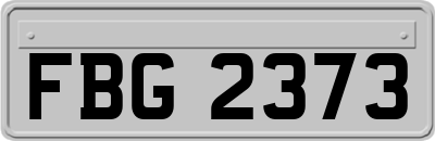FBG2373