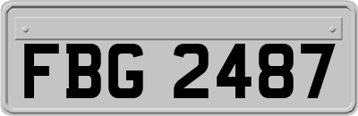 FBG2487