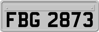 FBG2873
