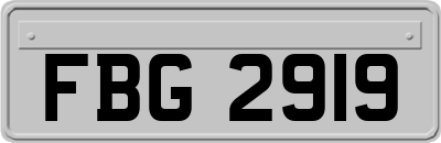 FBG2919