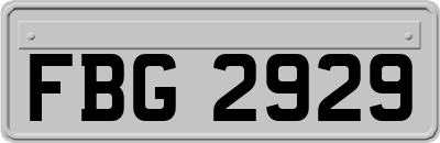 FBG2929