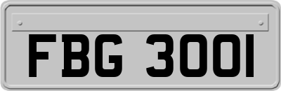 FBG3001