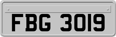 FBG3019