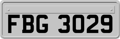 FBG3029