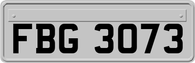 FBG3073