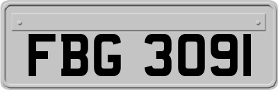 FBG3091