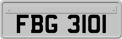 FBG3101