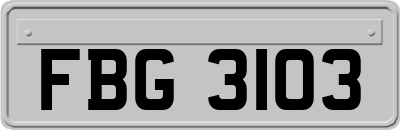FBG3103