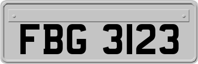 FBG3123