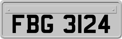 FBG3124